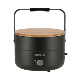 Mestic