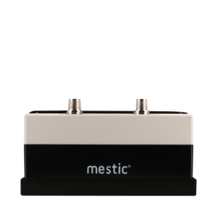Mestic