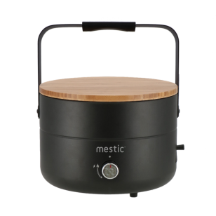 Mestic